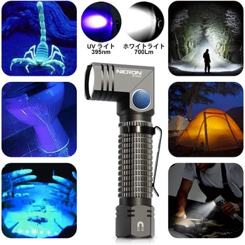 首振りポケットLEDライト 充電池乾電池兼用 Nicron(ニクロン)