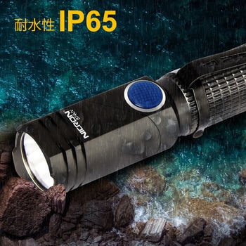 首振りポケットLEDライト 充電池乾電池兼用 Nicron(ニクロン)
