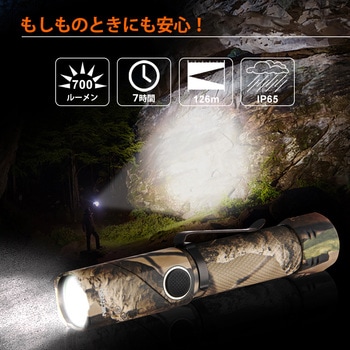 首振りポケットLEDライト 充電池乾電池兼用 Nicron(ニクロン)