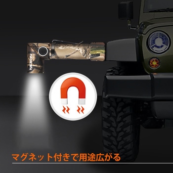 首振りポケットLEDライト 充電池乾電池兼用 Nicron(ニクロン)