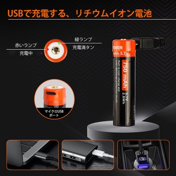 首振りポケットLEDライト 充電池乾電池兼用 Nicron(ニクロン)