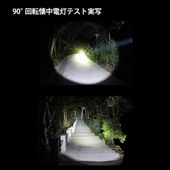首振りポケットLEDライト 充電池乾電池兼用 Nicron(ニクロン)