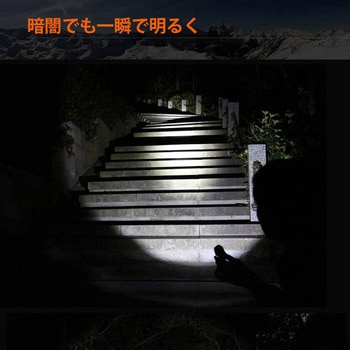 首振りLEDライト  充電式 Nicron(ニクロン)