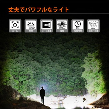 高輝度フォーカスハンディLEDライト 充電式 Nicron(ニクロン)