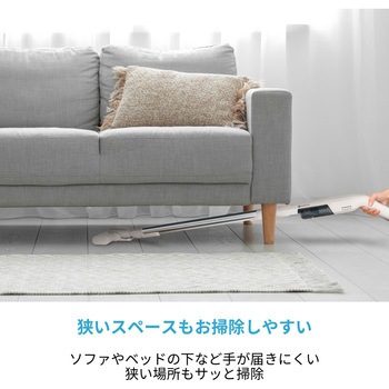 ステーション極軽クリーナー CCP