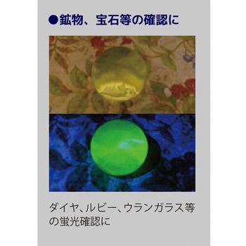 3灯ブラックライト コンテック
