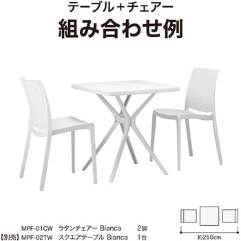 ラタン調デザイン スタッキングチェアー タカショー
