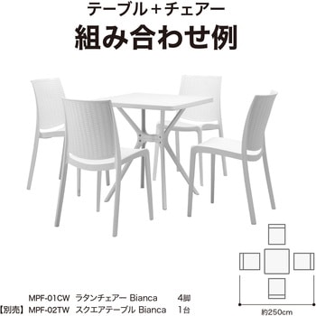 ラタン調デザイン スタッキングチェアー タカショー
