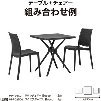 ラタン調デザイン スタッキングチェアー タカショー