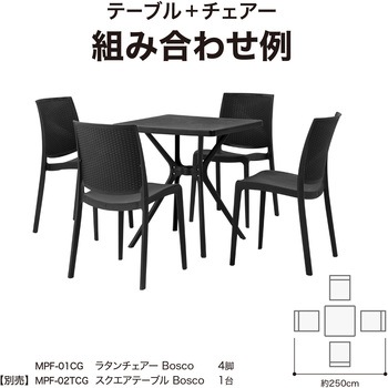 ラタン調デザイン スタッキングチェアー タカショー