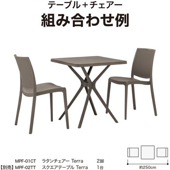 ラタン調デザイン スタッキングチェアー タカショー