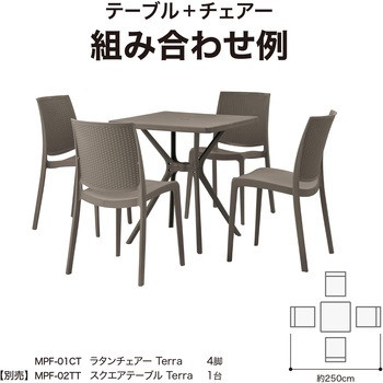 ラタン調デザイン スタッキングチェアー タカショー