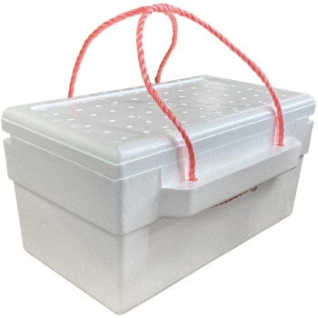 PB-6 X` X`[BOX(3L) 19L X`wH 60455240