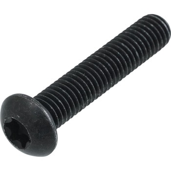 Fillister head screw 23417680473 BMW