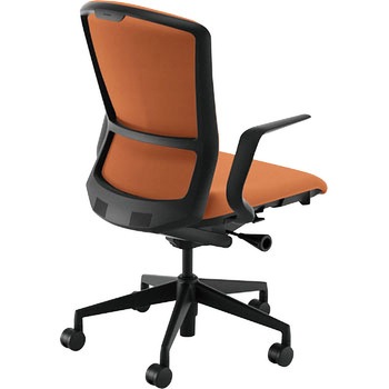 5-354-1161 Elfie(GtB)/ELA2_NXobN_ubNt[_nCobN cms 60497946