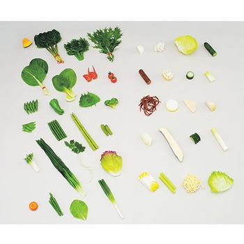 フードモデル 野菜のフードモデル 44種 イワイサンプル