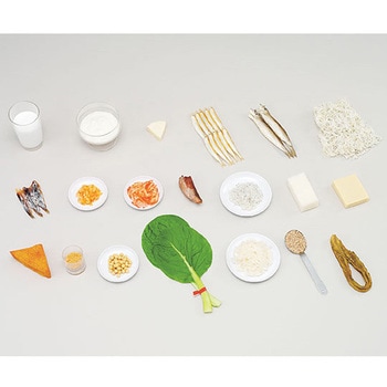 フードモデル カルシウムを多く含む食材 - イワイサンプル