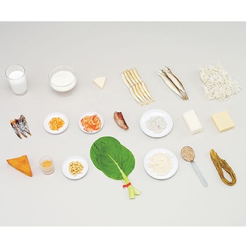 フードモデル カルシウムを多く含む食材 イワイサンプル