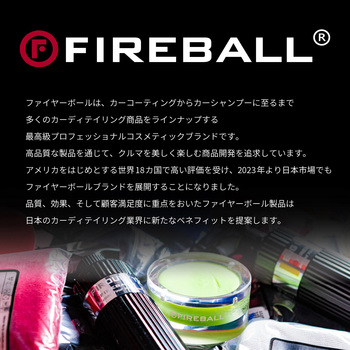 Fireball(ファイヤーボール) バグクリーナー DAYTONA(デイトナ)