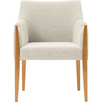 6-223-0701 ���r�[�`�F�A LC21 �A�[���`�F�A ���c�m�s 60550227