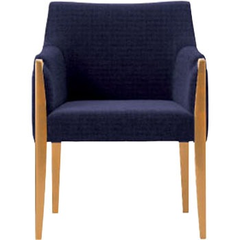 6-223-0703 ���r�[�`�F�A LC21 �A�[���`�F�A ���c�m�s 60550263