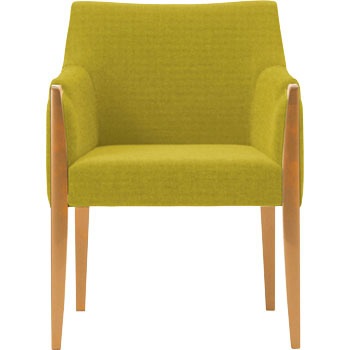 6-223-0704 ���r�[�`�F�A LC21 �A�[���`�F�A ���c�m�s 60550288