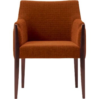 6-223-0712 ���r�[�`�F�A LC21 �A�[���`�F�A ���c�m�s 60550324