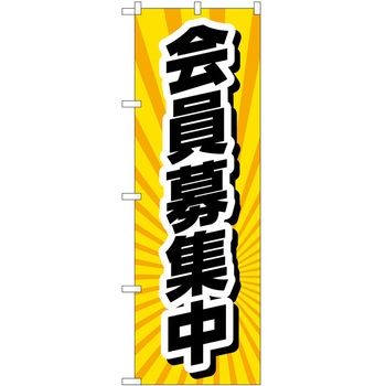 2011377 ̂ڂ ̔X PEOEPg[fBO 60567766