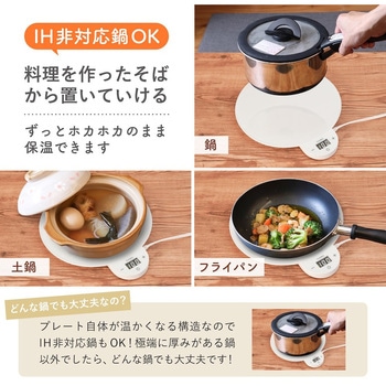 「フードウォーマーディッシュ(Dish)」 - サンコー