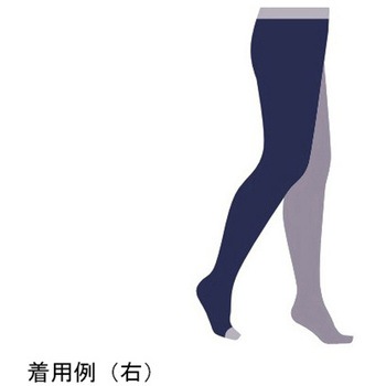 オペーク2 ベージュ JP-Q21Gシリーズ ノーブランド