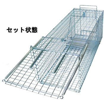 踏板式捕獲器 2個セット オリジナル補強品 楽天市場】捕獲器 踏板式の通販