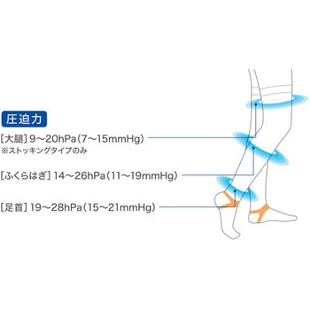 ファインサポート 股下 ストッキング 1ケース 20本×4箱入 FS-Sシリーズ - 東レ・メディカル