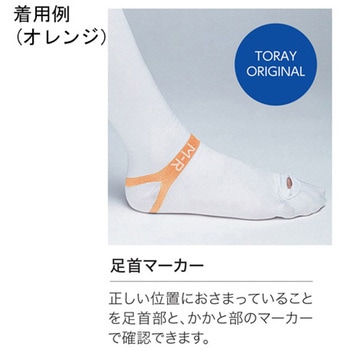 ファインサポート 股下 ストッキング 1ケース 20本×4箱入 FS-Sシリーズ - 東レ・メディカル