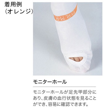 ファインサポート 股下 ストッキング 1ケース 20本×4箱入 FS-Sシリーズ - 東レ・メディカル