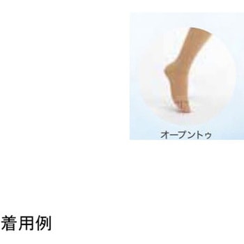 下肢用ストッキング クラスII 23～32mmHg ロングストッキング - 東レ・メディカル
