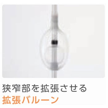 食道拡張用バルーンカテーテル 2本入 - クリエートメディック