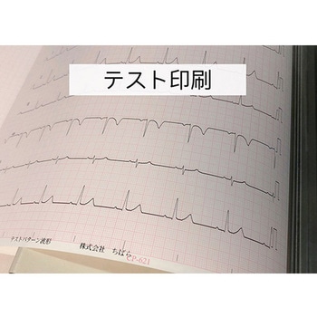 心電図記録紙 幅210mm×長100m/折295mm 5冊入 CP-621シリーズ ちばら