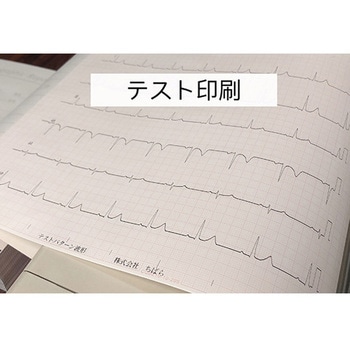 心電図記録紙 幅210mm×長100m/折295mm 折り畳み型・裏面カルテ・方眼線有 5冊入 - ちばら