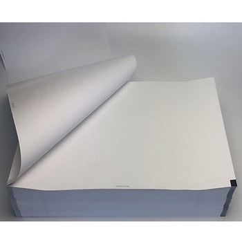 心電図記録紙 幅210mm×長300m/折295mm 折り畳み型 2冊入 - ちばら