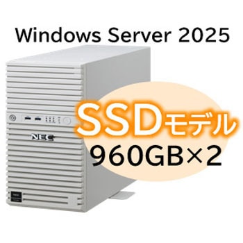 T110m Xeon 4C/16G/960GB*2/R1/W25 - NEC