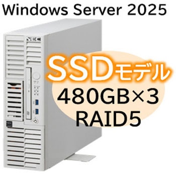 T110m-S Xeon 4C/16G/480GB*3/R5/W25 - NEC