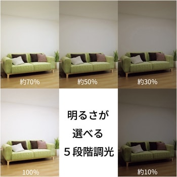 シーリングファン HotaluX(ホタルクス)