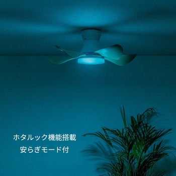 シーリングファン HotaluX(ホタルクス)