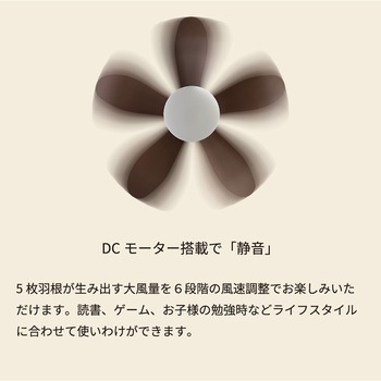 シーリングファン HotaluX(ホタルクス)