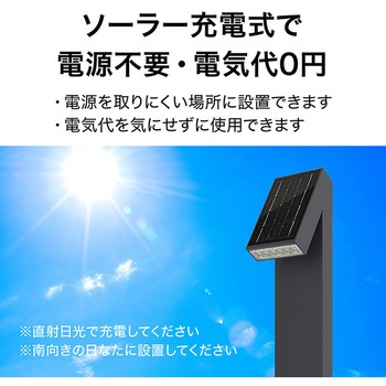 ExLights ソーラーライト FLAG タカショー