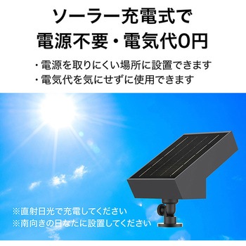 ExLights ソーラーライト FLAG タカショー