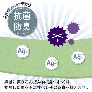 ピタQ 吸着 便座シート LEC(レック)