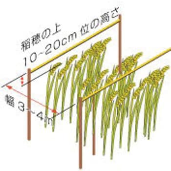 4100 雀追いニゲロン たくみ 黄色 - 【通販モノタロウ】