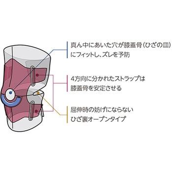 4ウェイアジャスタブルニー 5530シリーズ Mueller