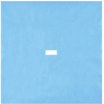 エミック蓄尿袋 1箱 100枚×10箱入 - 円田医科工業